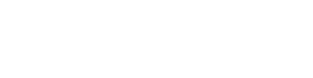 Management Services